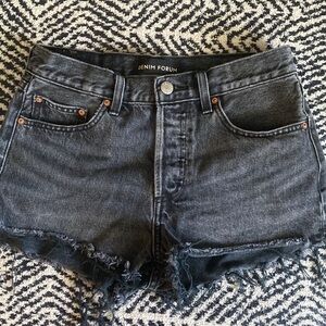 Aritzia Denim Forum Shorts